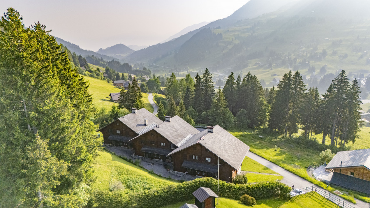 Chalet mitoyen en PPE dans un cadre verdoyant et calme