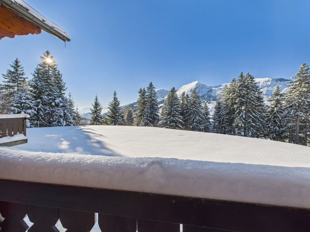 Chalet mitoyen de 4.5 pièces dans un cadre féerique