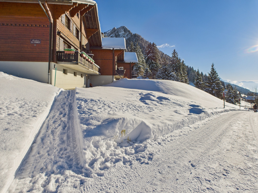 Chalet mitoyen de 4.5 pièces dans un cadre féerique