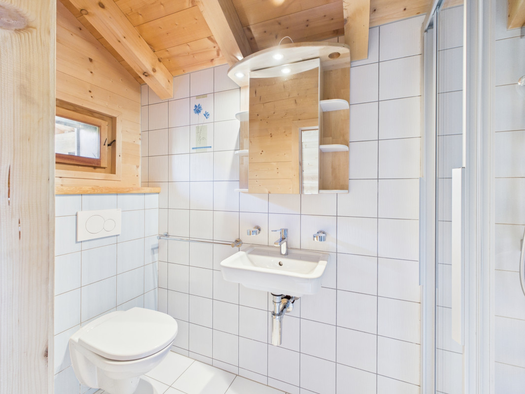 Beau chalet avec grange attenante et vue panoramique - environnement paisible