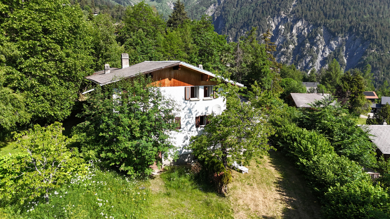 Chalet mitoyen avec cachet dans un environnement paisible et verdoyant